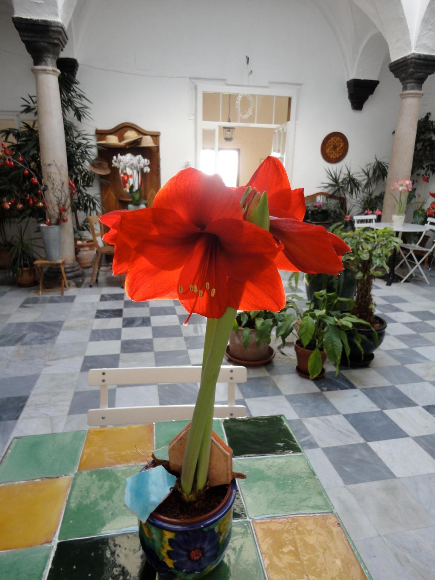 La Casa Grande Hotel Аркос де ла Фронтера Екстериор снимка